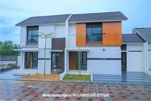 purisehati seyegan