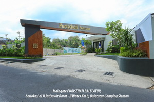purisehati balecatur