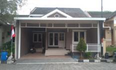 palem hijau godean