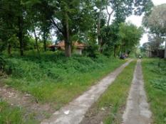 Tanah Pajangan