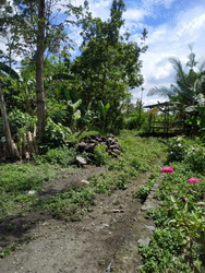 Tanah Di Wedomartani