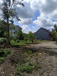 tanah wedomartani